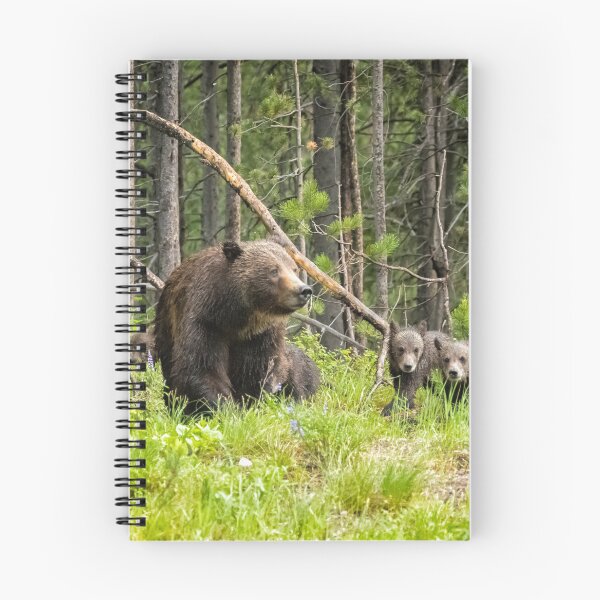 Item preview, Charting the Course - Grizzly 399 with Her Four Cubs designed and sold by Belinda Greb Photography.