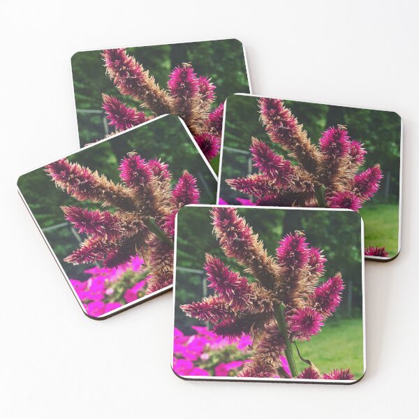 Item preview, Fuscia flower  designed and sold by SaltyMonster.