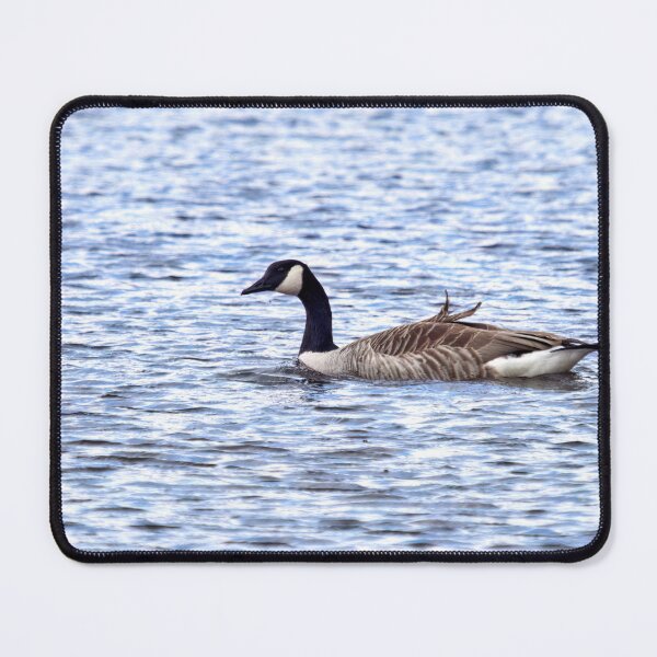 Item preview, Cold and blue waters. designed and sold by Jouko Lehto Photography.