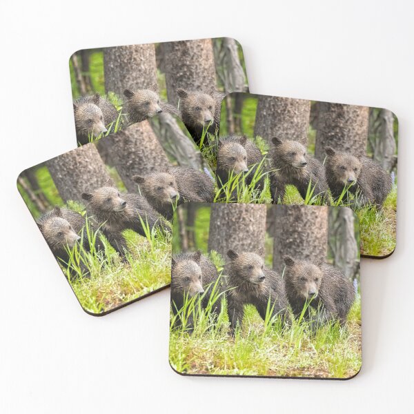 Item preview, Three of Four of Grizzly 399's Cubs designed and sold by Belinda Greb Photography.