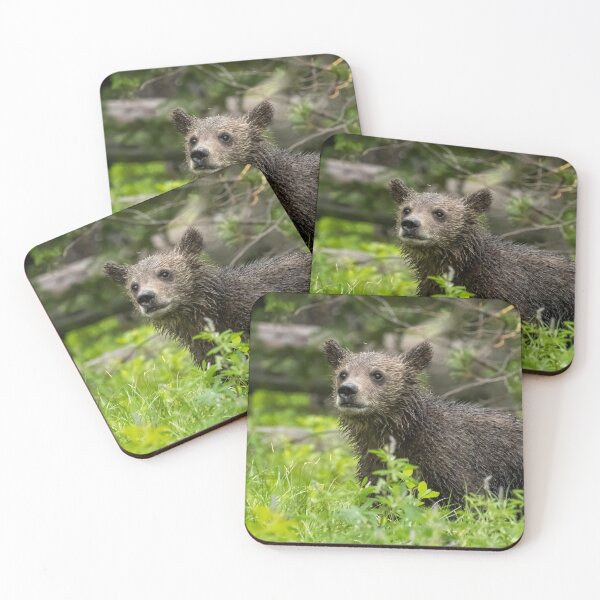 Item preview, Wet Grizzly Cub designed and sold by Belinda Greb Photography.