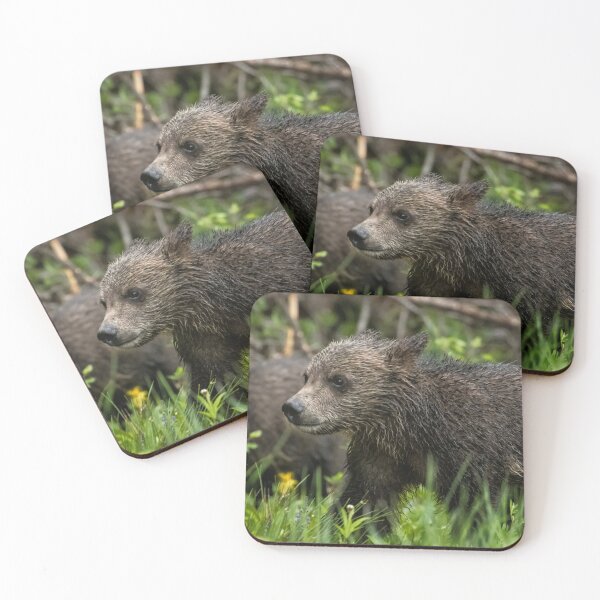 Item preview, One Wet Little Bear Cub - Grizzly 399's Cub designed and sold by Belinda Greb Photography.