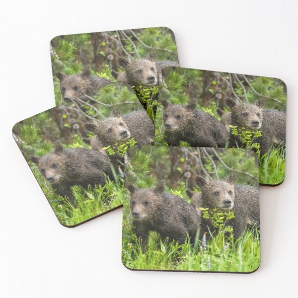 Item preview, Grizzly 399's Cubs, No. 2 designed and sold by Belinda Greb Photography.