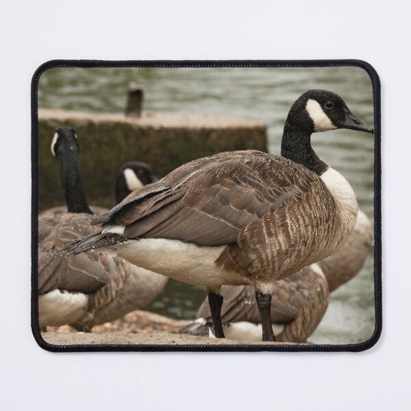 Item preview, posters art prints t-shirts phone cases mugs etc designed and sold by craigewmcg123.