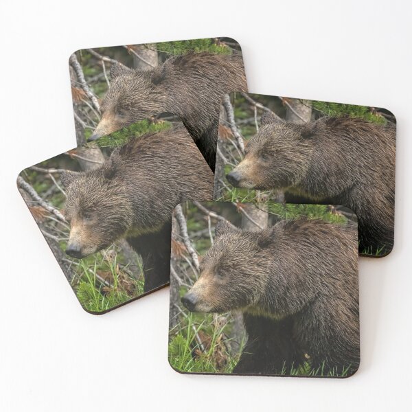 Item preview, A Portrait of a Good Mother - Grizzly 399 Closeup designed and sold by Belinda Greb Photography.