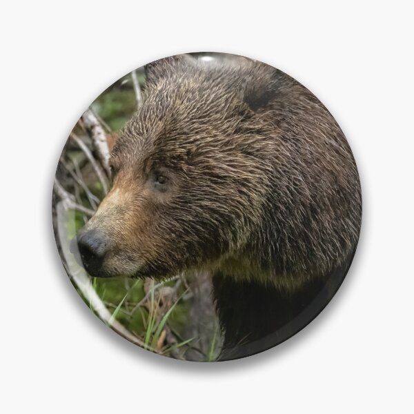 Item preview, A Portrait of a Good Mother - Grizzly 399 Closeup designed and sold by Belinda Greb Photography.