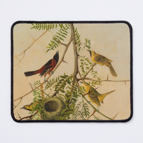 Item preview, Orchard Oriole designed and sold by camilamila2.