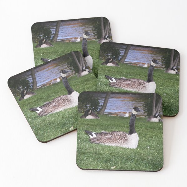 Item preview, Is there something to worry about.  designed and sold by Jouko Lehto Photography.