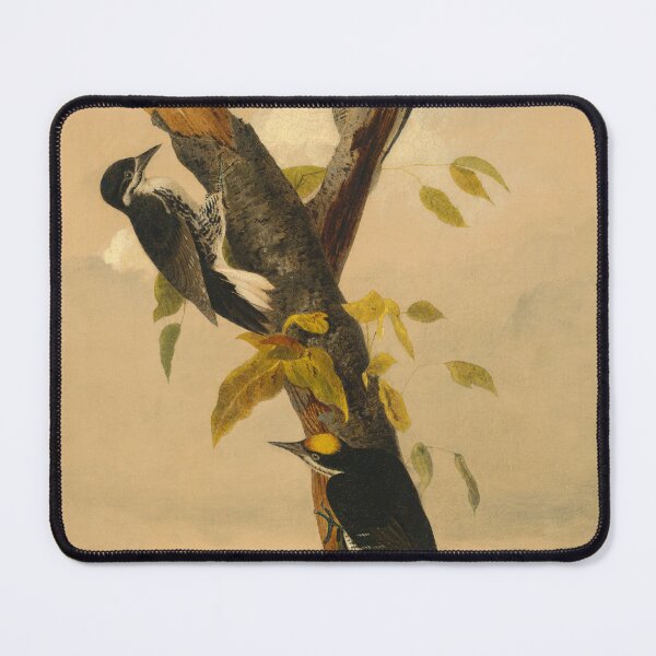 Item preview, Black-Backed Three-Toed Woodpecker designed and sold by camilamila2.