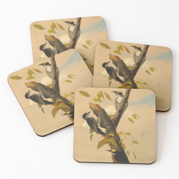 Item preview, Black-Backed Three-Toed Woodpecker designed and sold by camilamila2.