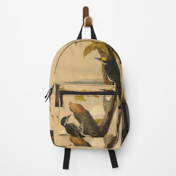Item preview, Black-Backed Three-Toed Woodpecker designed and sold by camilamila2.