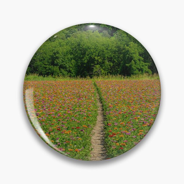 Item preview, Path Through Zinnias in Alto Pass designed and sold by Brody McCauley.