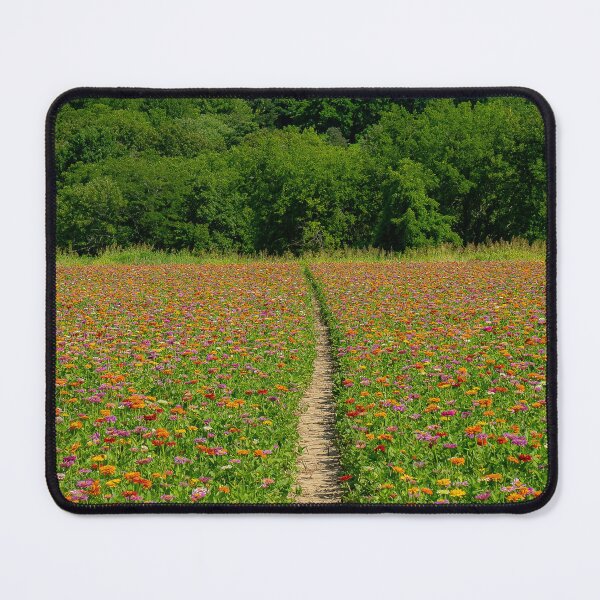 Item preview, Path Through Zinnias in Alto Pass designed and sold by Brody McCauley.