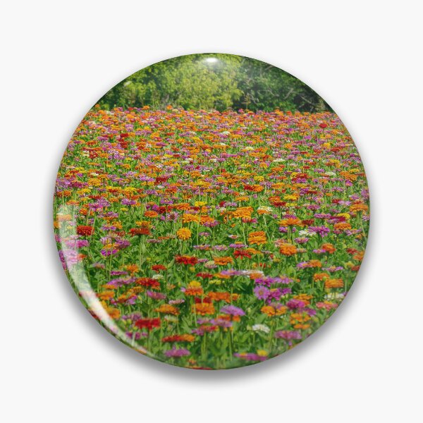Item preview, Zinnia Flowers in Alto Pass designed and sold by Brody McCauley.