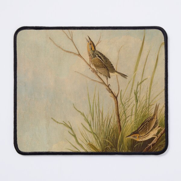 Item preview, Sharp-Tailed Finch designed and sold by camilamila2.