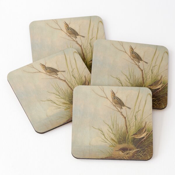 Item preview, Sharp-Tailed Finch designed and sold by camilamila2.