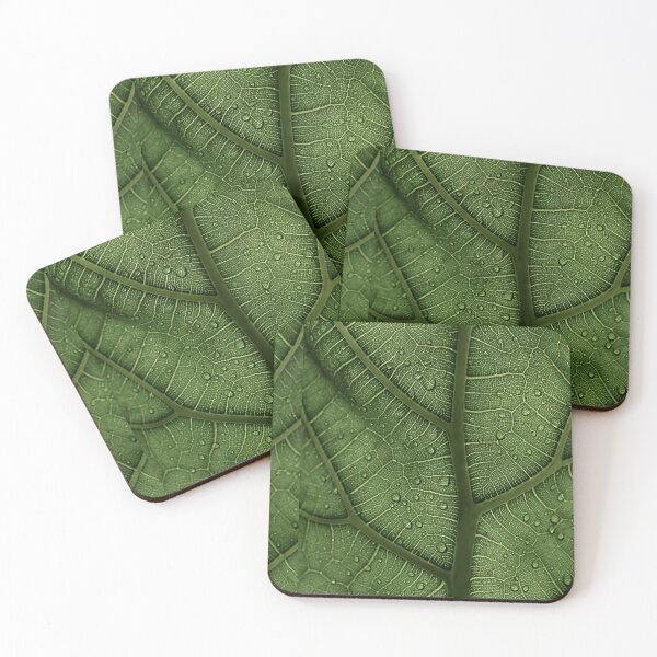 Item preview, Plant Leaf designed and sold by ncbennett.