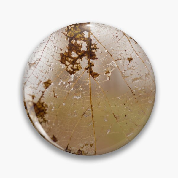 Item preview, Transparent Leaf in Nature designed and sold by Brody McCauley.