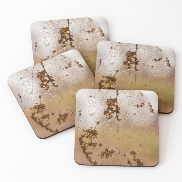 Item preview, Transparent Leaf in Nature designed and sold by Brody McCauley.