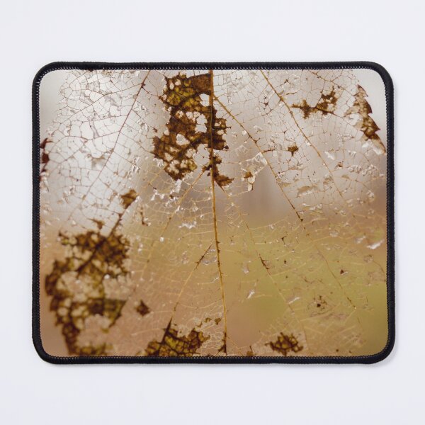 Item preview, Transparent Leaf in Nature designed and sold by Brody McCauley.