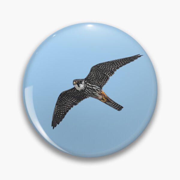 Item preview, Eurasian Hobby Color Design  designed and sold by designsasstultd.