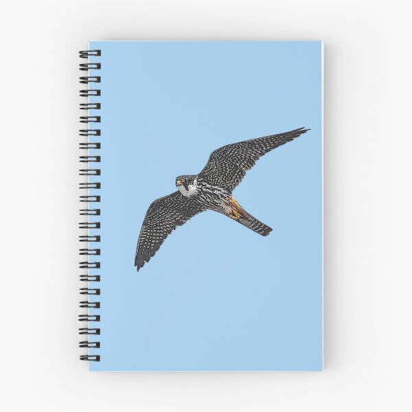 Item preview, Eurasian Hobby Color Design  designed and sold by designsasstultd.