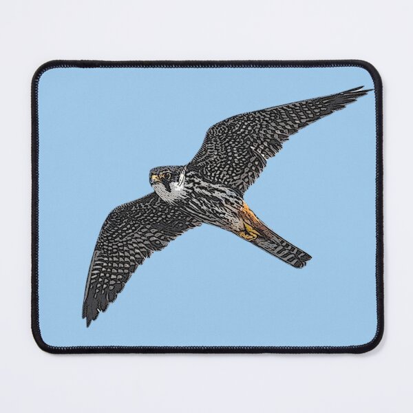 Item preview, Eurasian Hobby Color Design  designed and sold by designsasstultd.