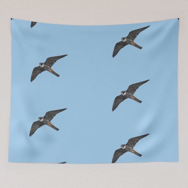 Item preview, Eurasian Hobby Color Design  designed and sold by designsasstultd.