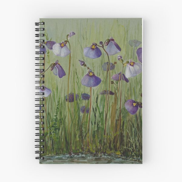 Item preview, Utricularia sp. (bladderworts) designed and sold by State Library of South Australia.