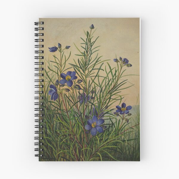 Item preview, Cheiranthera linearis. (Finger or Hand Flowers) designed and sold by State Library of South Australia.