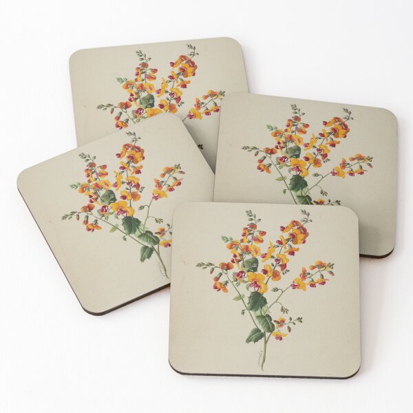 Item preview, Chorizema ilicifolia. (Holly flame pea) designed and sold by State Library of South Australia.