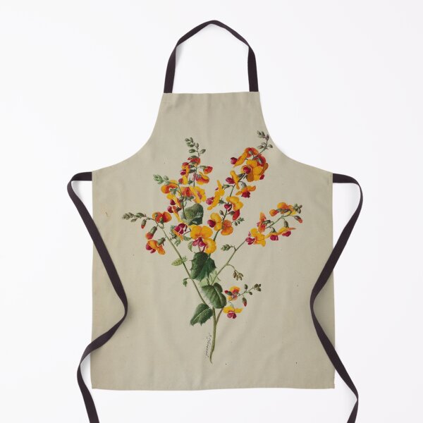 Item preview, Chorizema ilicifolia. (Holly flame pea) designed and sold by State Library of South Australia.