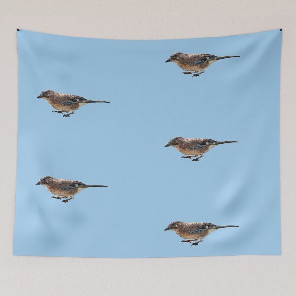 Item preview, Eurasian Jay Color Design  designed and sold by designsasstultd.