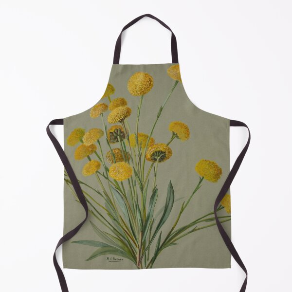 Item preview, Craspidia uniclora. (Billy Buttons) designed and sold by State Library of South Australia.