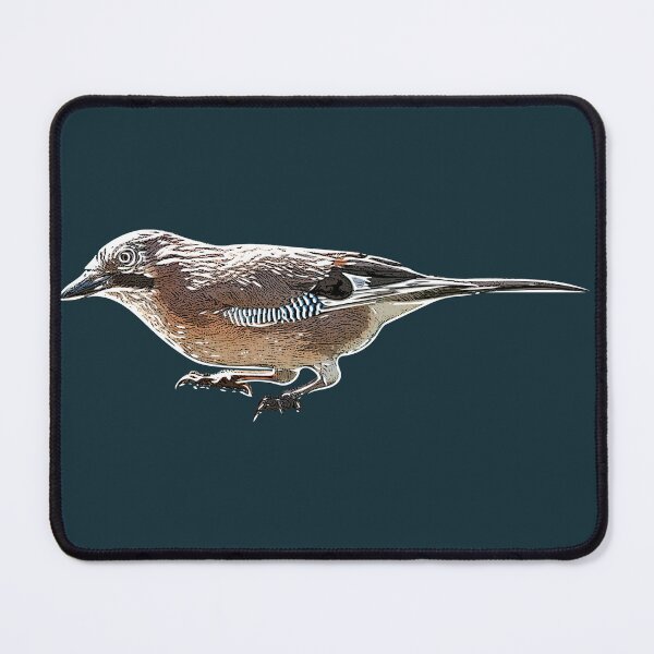 Item preview, Eurasian Jay White Alternate Design designed and sold by designsasstultd.