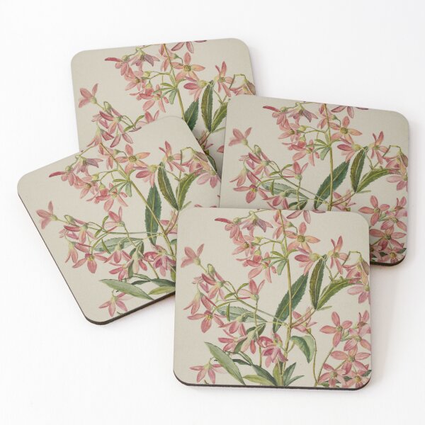 Item preview, Saxifragacae. (rockfoils) designed and sold by State Library of South Australia.