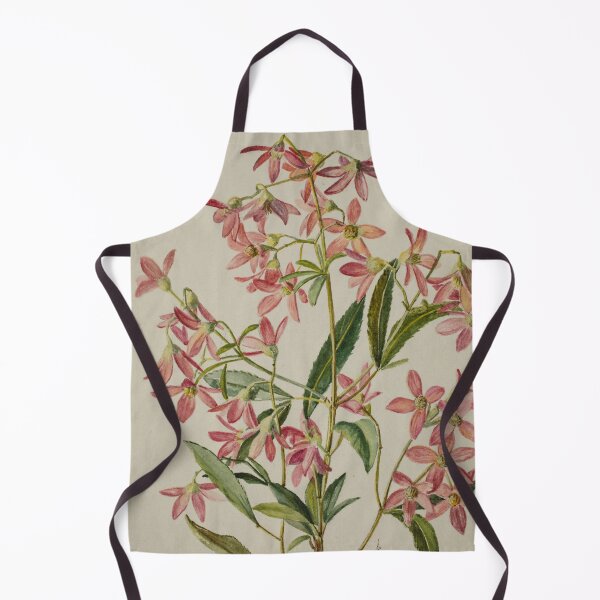 Item preview, Saxifragacae. (rockfoils) designed and sold by State Library of South Australia.