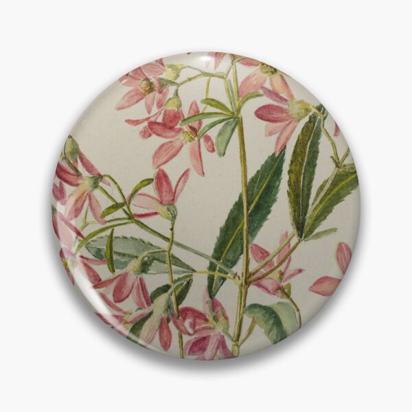 Item preview, Saxifragacae. (rockfoils) designed and sold by State Library of South Australia.