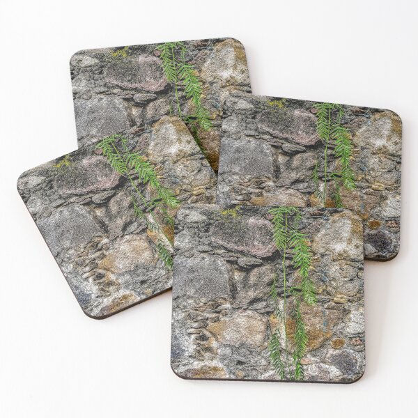 Item preview, Stone Wall Fern designed and sold by Jon Welsh.