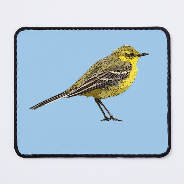 Item preview, Western Yellow Wagtail Color Design  designed and sold by designsasstultd.