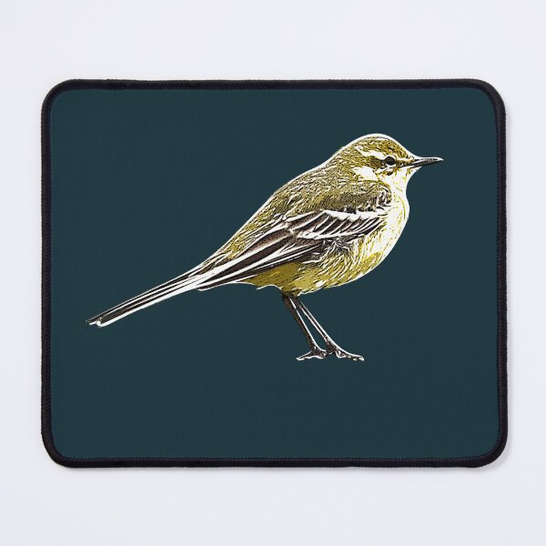 Item preview, Western Yellow Wagtail White Alternate Design  designed and sold by designsasstultd.
