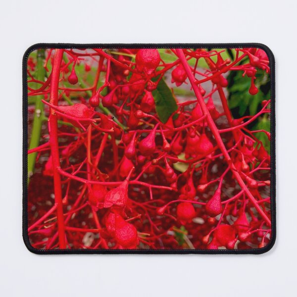 Item preview, Beaut Bright Really Red Buds designed and sold by KazM.