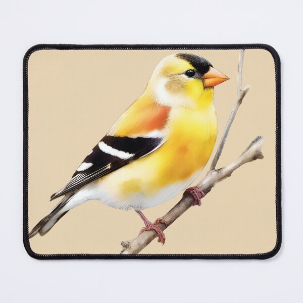 Item preview, Goldfinch Art #17 | Goldfinch Lovers designed and sold by ksgraphics222.
