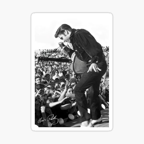 Item preview, 03 Live Concert Black And White designed and sold by zona ambens.