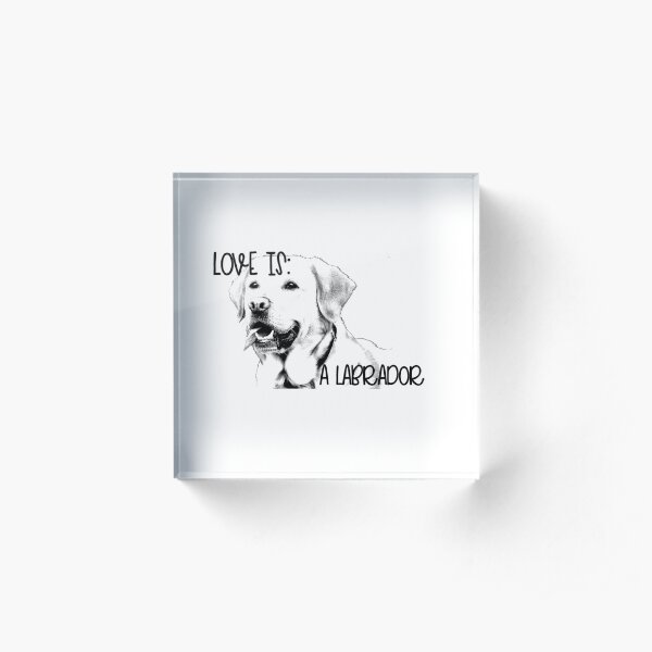 Love Is A Labrador Retriever Acrylic Block