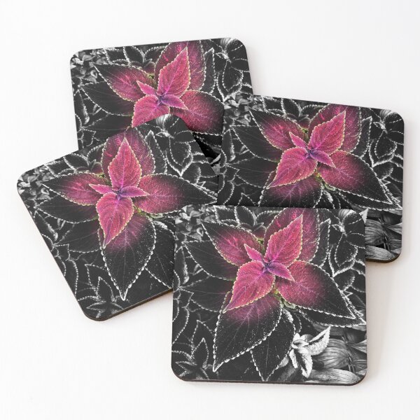 Item preview, Portrait Of The Precise Geometry Of Nature designed and sold by MyPhotoDreams.