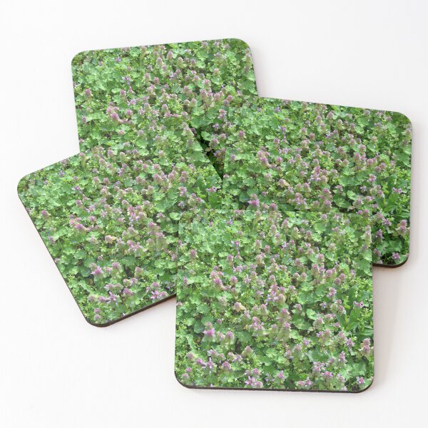 Item preview, Dead nettle designed and sold by Marcu Ioachim.