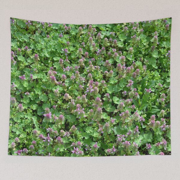 Item preview, Dead nettle designed and sold by Marcu Ioachim.