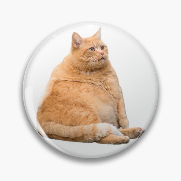 Item preview, Chonky Boy Fat Cat designed and sold by HellbenderCo.