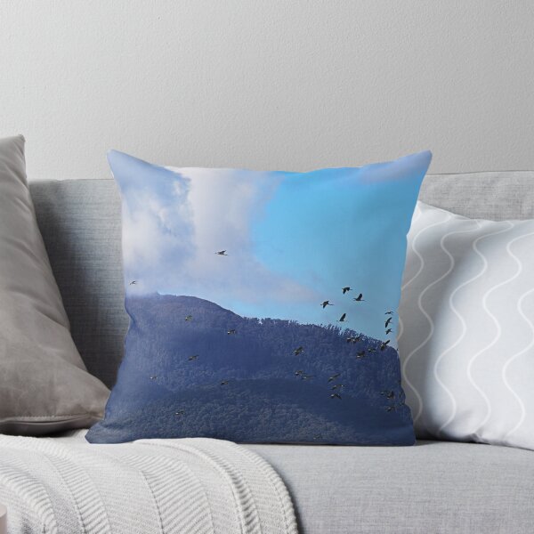 Item preview, Australian Straw Necked Ibis Birds Mount Bogong designed and sold by Joy Watson - Natural Light Photography .
